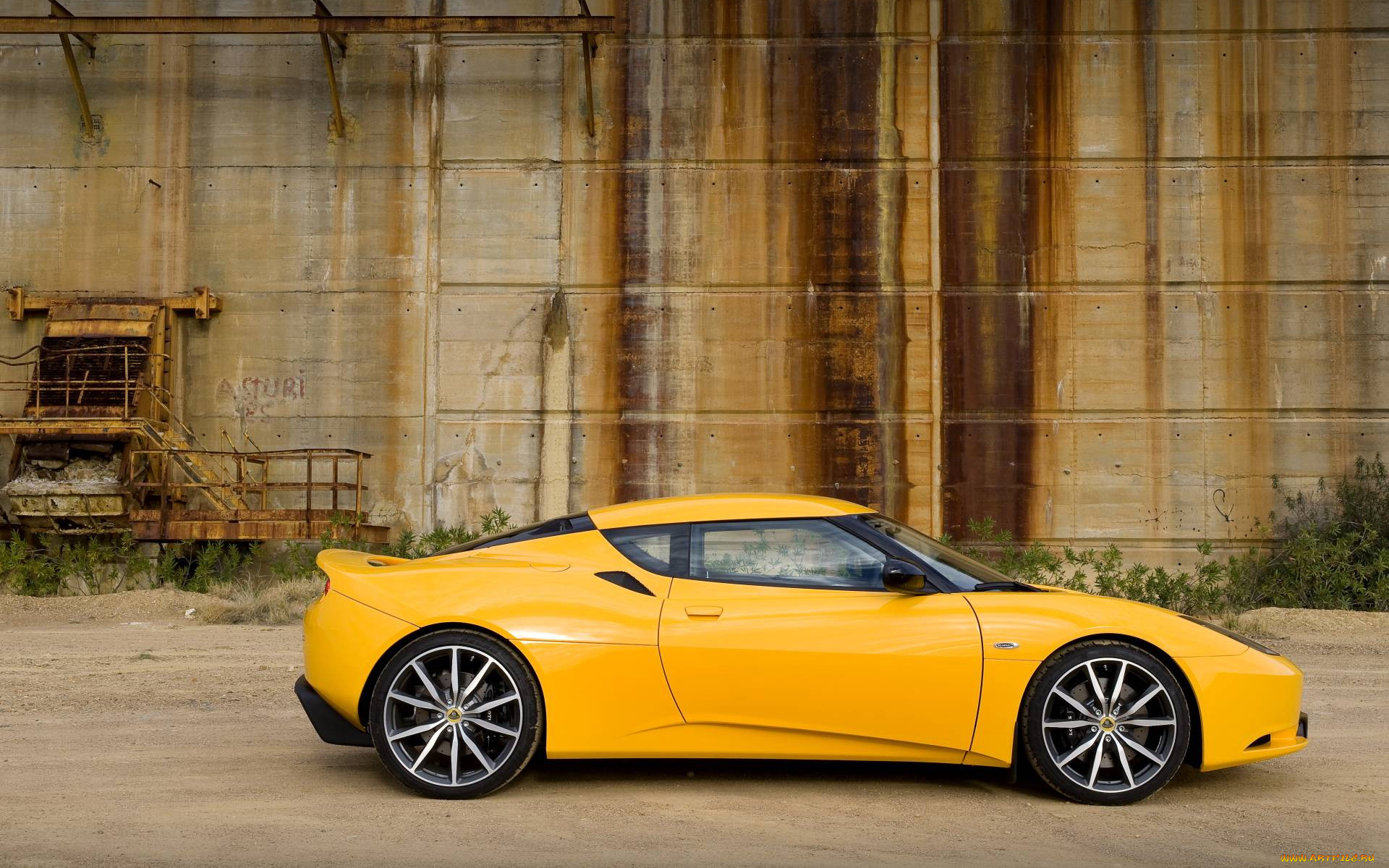 , lotus